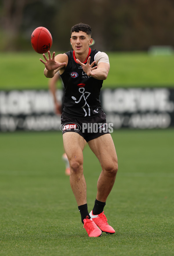 AFL 2025 Training - St Kilda 040425 - A-58349456