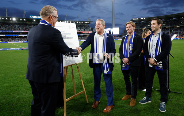 AFL 2025 Round 04 - Geelong v Melbourne - A-58349516
