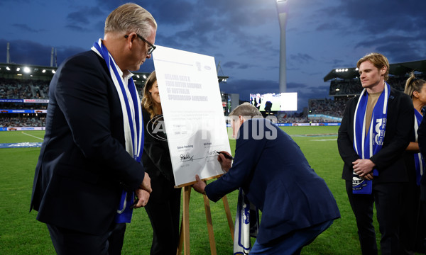 AFL 2025 Round 04 - Geelong v Melbourne - A-58353155