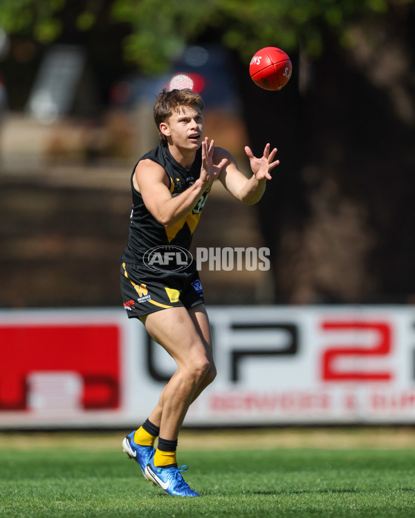 VFL 2025 Round 03 - Werribbee v Footscray - A-58361119