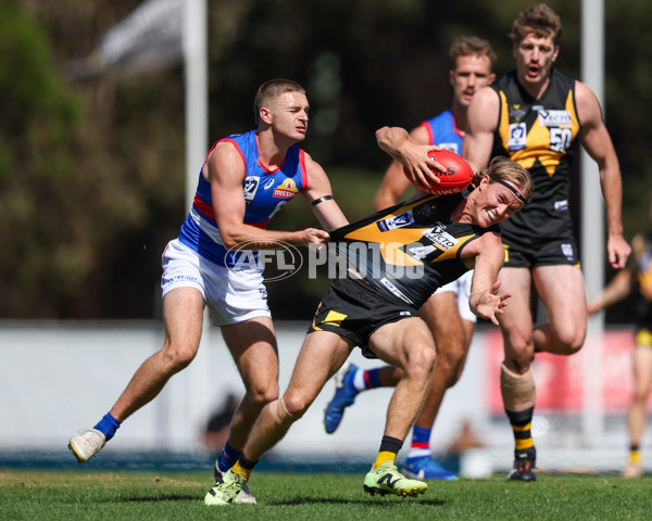 VFL 2025 Round 03 - Werribbee v Footscray - A-58365314