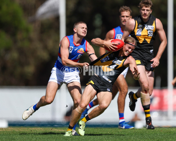 VFL 2025 Round 03 - Werribbee v Footscray - A-58365316