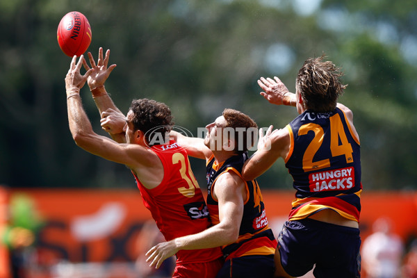 AFL 2025 Round 04 - Gold Coast v Adelaide - A-58365336