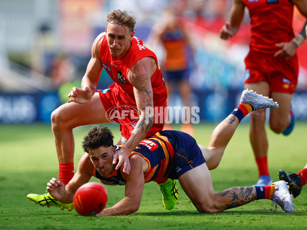 AFL 2025 Round 04 - Gold Coast v Adelaide - A-58368041
