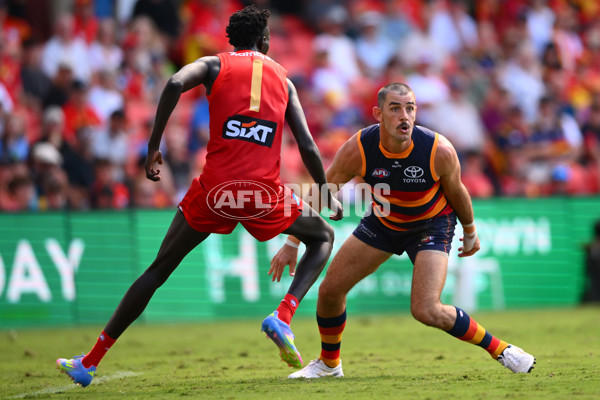 AFL 2025 Round 04 - Gold Coast v Adelaide - A-58368603