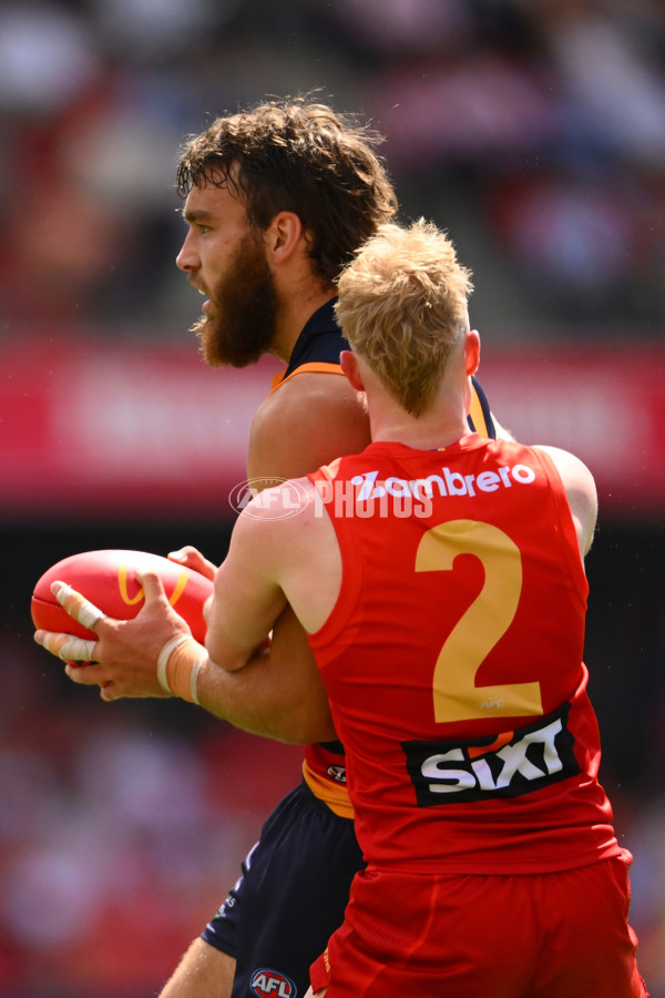 AFL 2025 Round 04 - Gold Coast v Adelaide - A-58370674