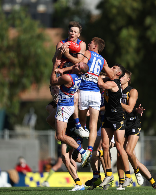 VFL 2025 Round 03 - Werribbee v Footscray - A-58371079