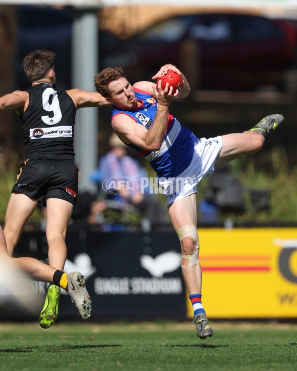VFL 2025 Round 03 - Werribbee v Footscray - A-58373404