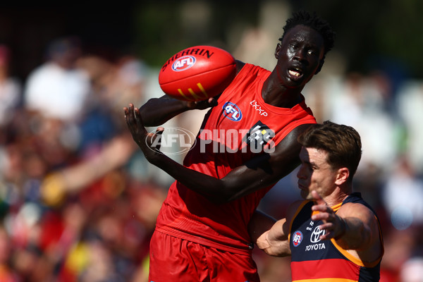 AFL 2025 Round 04 - Gold Coast v Adelaide - A-58374016