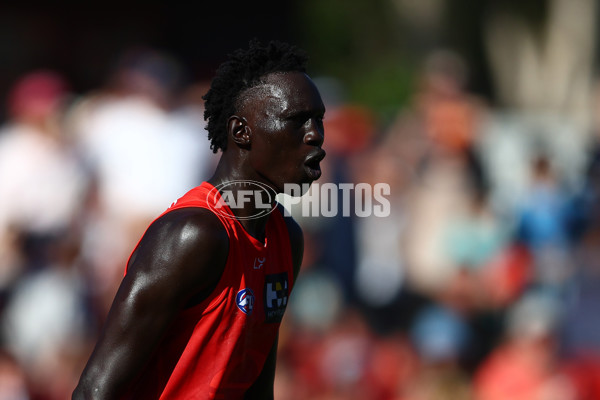 AFL 2025 Round 04 - Gold Coast v Adelaide - A-58375903