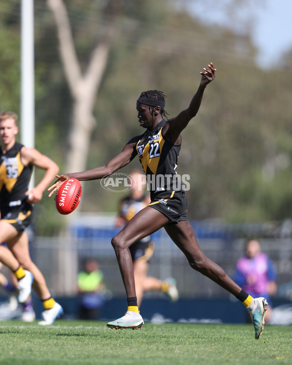 VFL 2025 Round 03 - Werribbee v Footscray - A-58377668