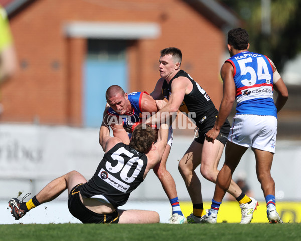 VFL 2025 Round 03 - Werribbee v Footscray - A-58377670