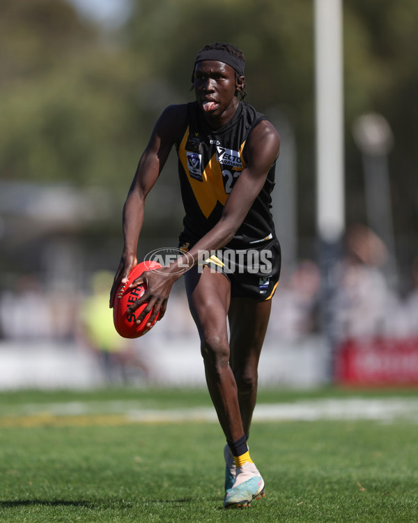 VFL 2025 Round 03 - Werribbee v Footscray - A-58377672