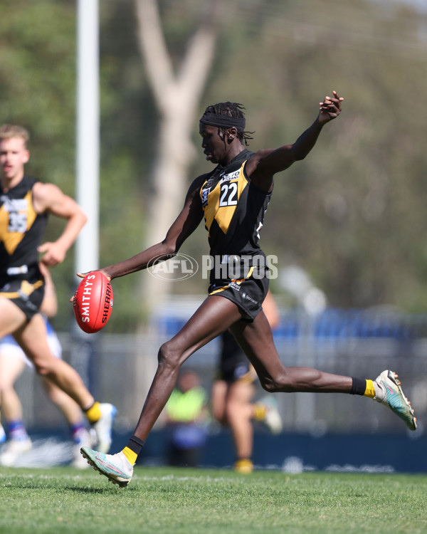 VFL 2025 Round 03 - Werribbee v Footscray - A-58377674