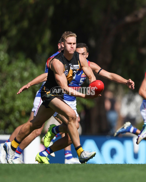 VFL 2025 Round 03 - Werribbee v Footscray - A-58377677