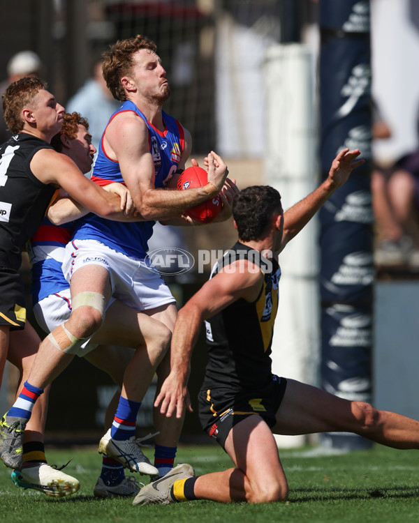 VFL 2025 Round 03 - Werribbee v Footscray - A-58377686