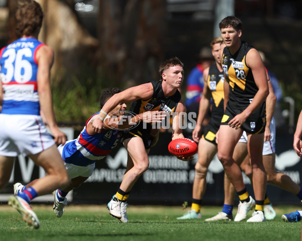 VFL 2025 Round 03 - Werribbee v Footscray - A-58377687