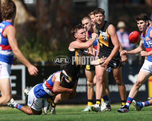 VFL 2025 Round 03 - Werribbee v Footscray - A-58378742