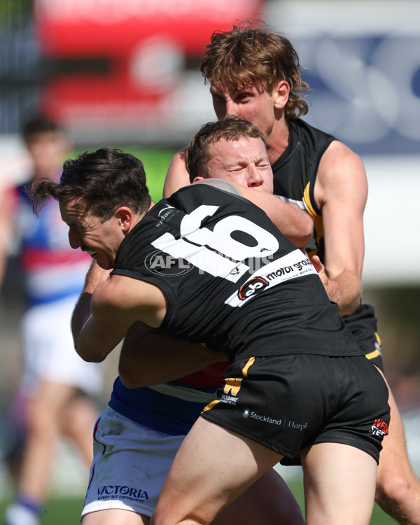 VFL 2025 Round 03 - Werribbee v Footscray - A-58378745