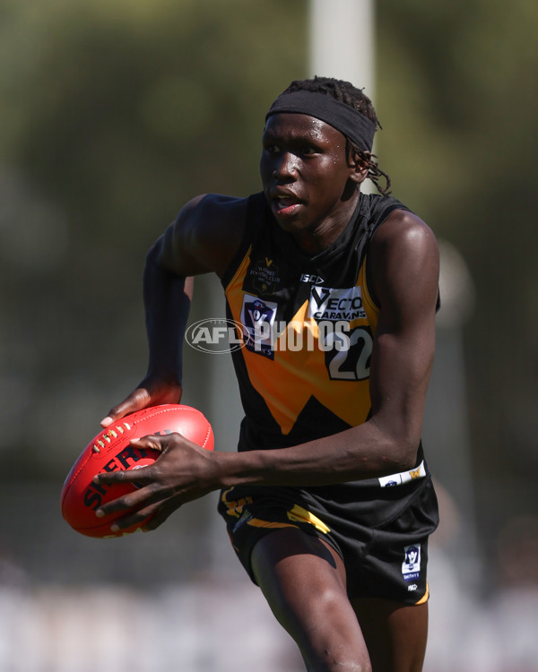 VFL 2025 Round 03 - Werribbee v Footscray - A-58378747