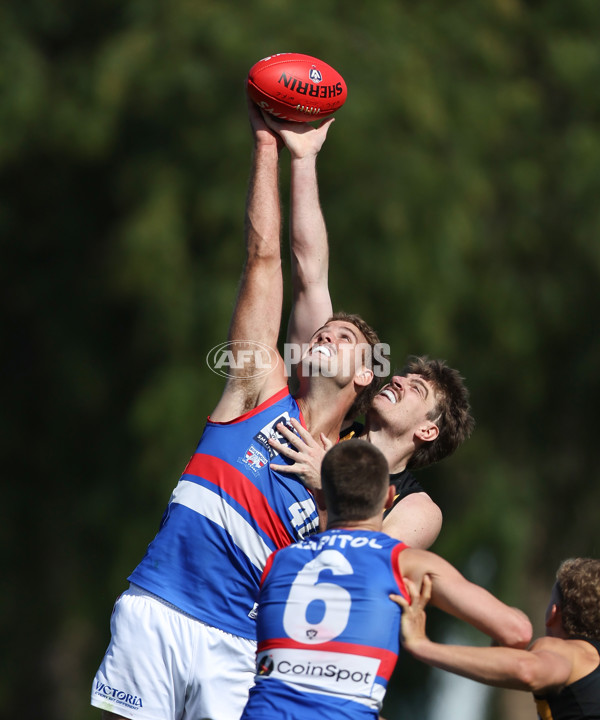 VFL 2025 Round 03 - Werribbee v Footscray - A-58378748