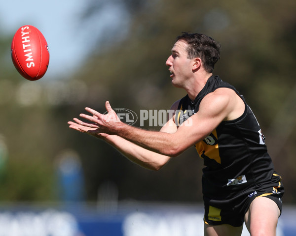 VFL 2025 Round 03 - Werribbee v Footscray - A-58383704