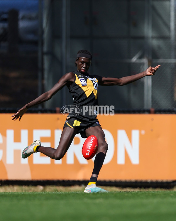 VFL 2025 Round 03 - Werribbee v Footscray - A-58384209