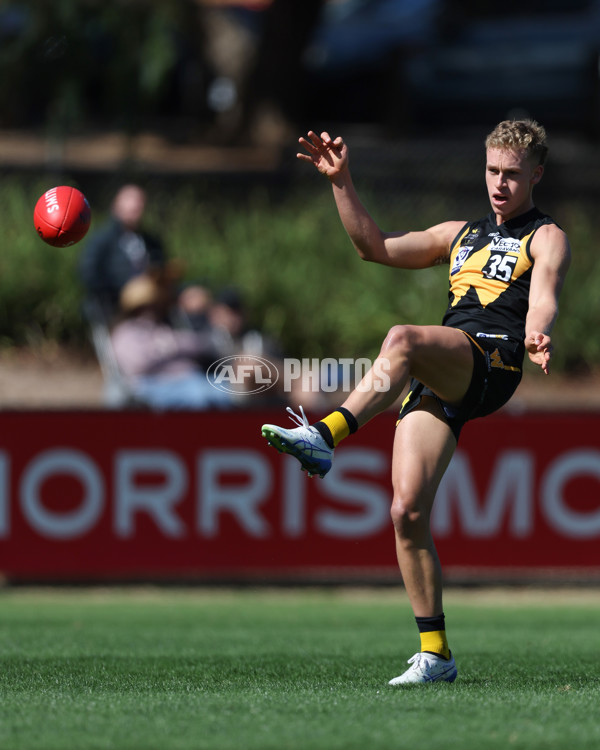 VFL 2025 Round 03 - Werribbee v Footscray - A-58384216