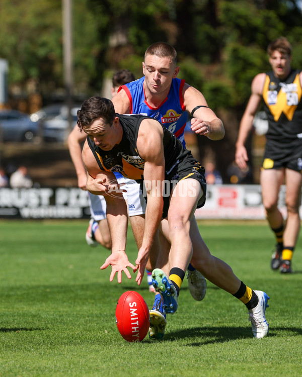 VFL 2025 Round 03 - Werribbee v Footscray - A-58386258