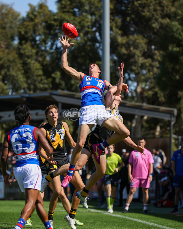 VFL 2025 Round 03 - Werribbee v Footscray - A-58386263