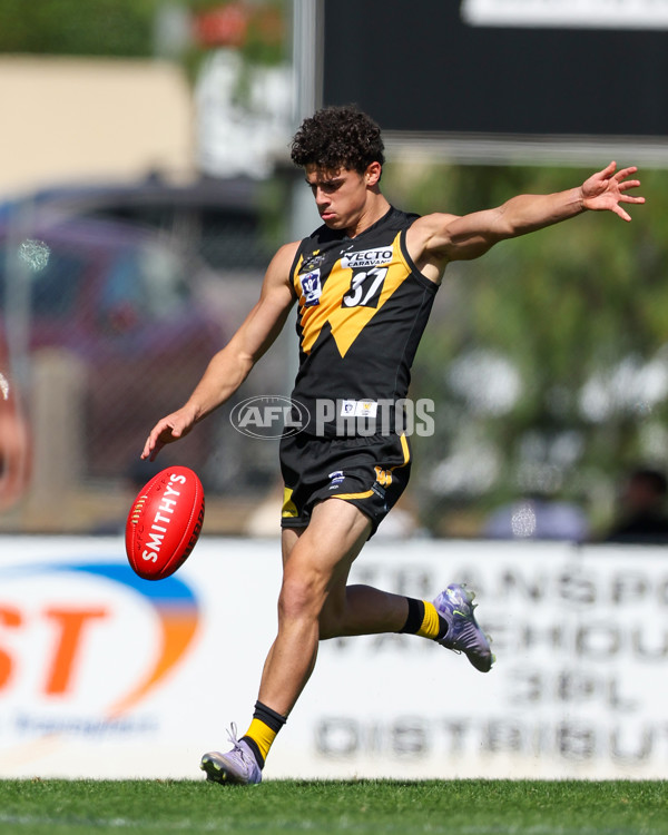VFL 2025 Round 03 - Werribbee v Footscray - A-58386266