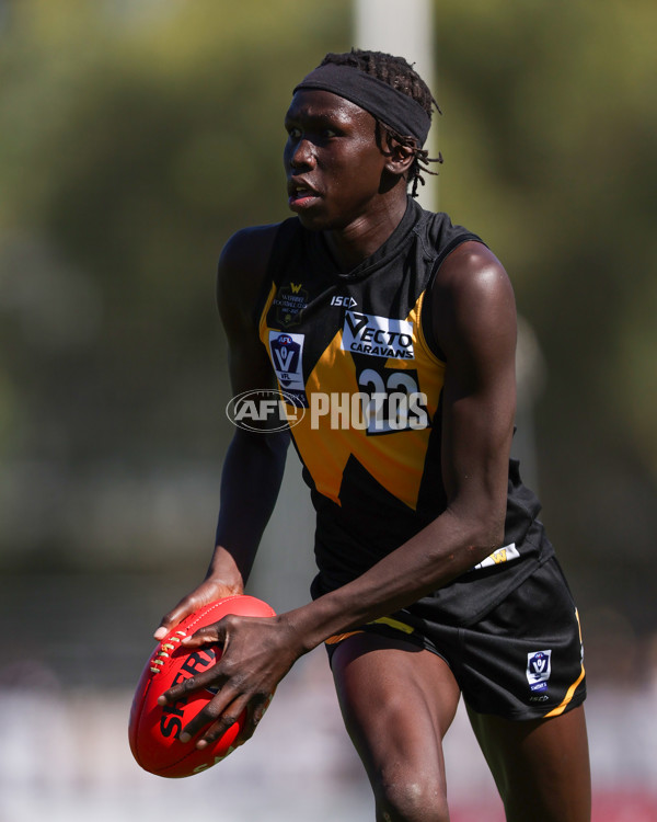 VFL 2025 Round 03 - Werribbee v Footscray - A-58386268