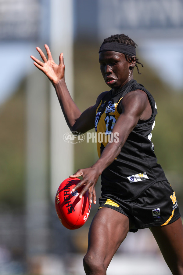 VFL 2025 Round 03 - Werribbee v Footscray - A-58386738