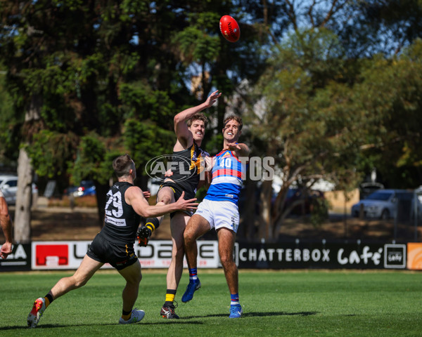 VFL 2025 Round 03 - Werribbee v Footscray - A-58386751