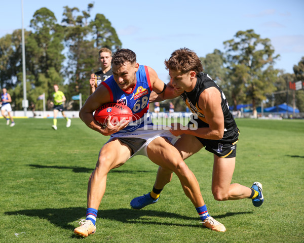 VFL 2025 Round 03 - Werribbee v Footscray - A-58391364