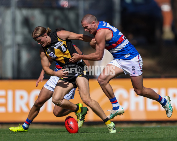 VFL 2025 Round 03 - Werribbee v Footscray - A-58392247