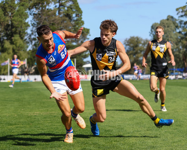 VFL 2025 Round 03 - Werribbee v Footscray - A-58392250