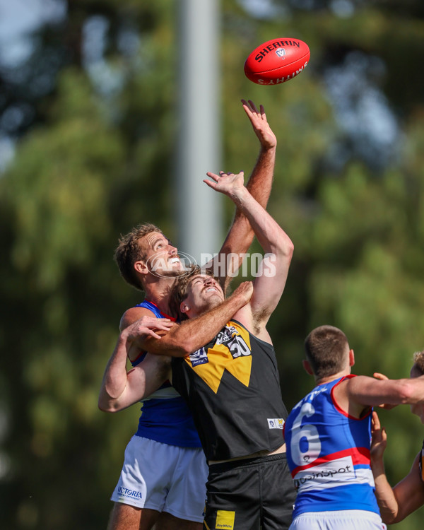 VFL 2025 Round 03 - Werribbee v Footscray - A-58394293