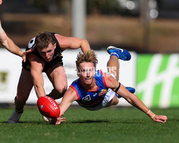 VFL 2025 Round 03 - Werribbee v Footscray - A-58394302