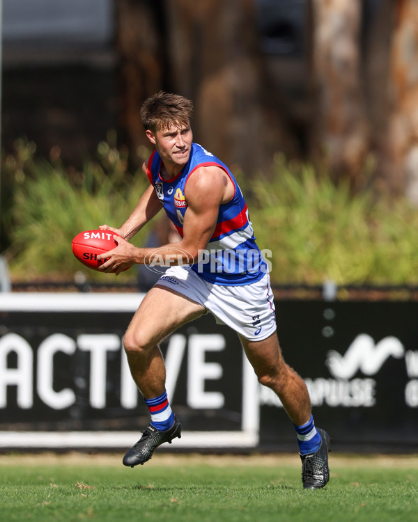 VFL 2025 Round 03 - Werribbee v Footscray - A-58394307