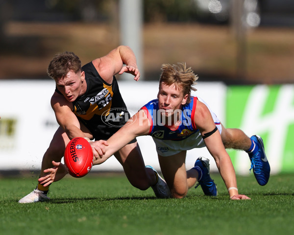 VFL 2025 Round 03 - Werribbee v Footscray - A-58394396