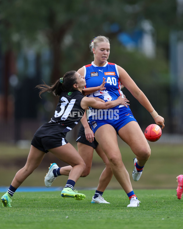 Coates League Girls 2025 Round 01 - Northern Knights v Oakleigh Chargers - A-58397394