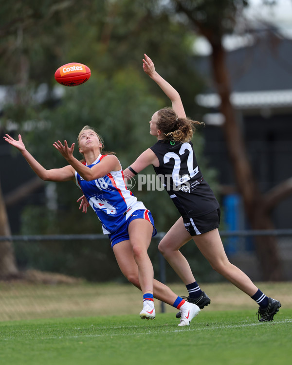 Coates League Girls 2025 Round 01 - Northern Knights v Oakleigh Chargers - A-58403057