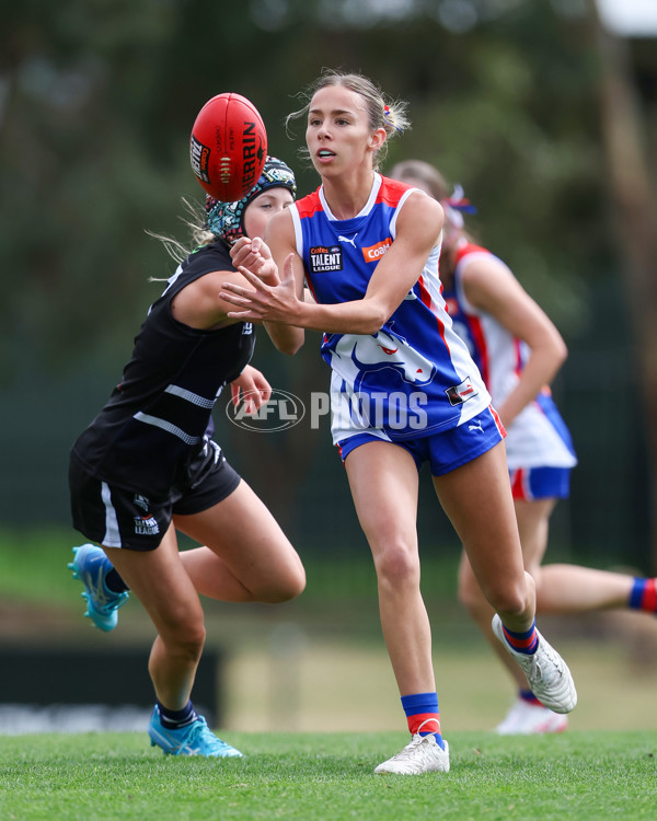 Coates League Girls 2025 Round 01 - Northern Knights v Oakleigh Chargers - A-58403532