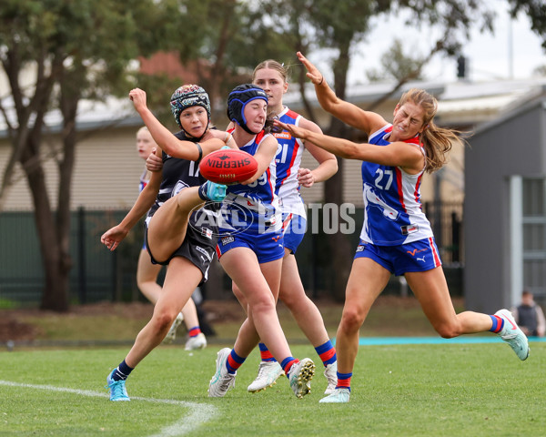 Coates League Girls 2025 Round 01 - Northern Knights v Oakleigh Chargers - A-58408099