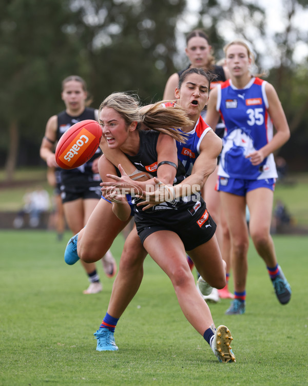 Coates League Girls 2025 Round 01 - Northern Knights v Oakleigh Chargers - A-58410420