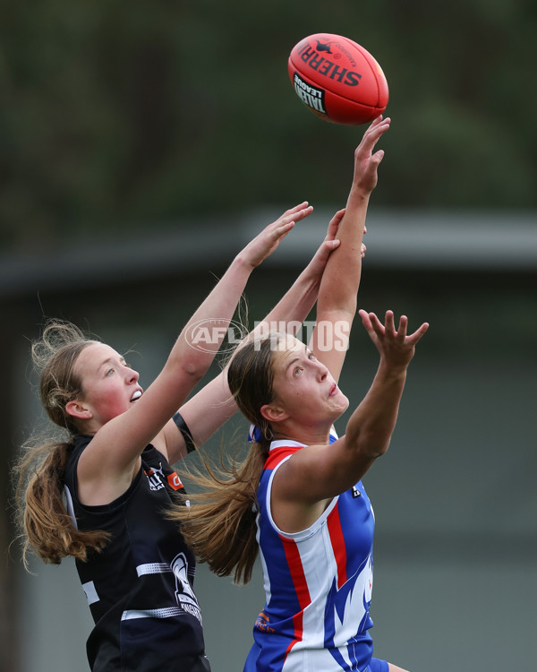 Coates League Girls 2025 Round 01 - Northern Knights v Oakleigh Chargers - A-58411384