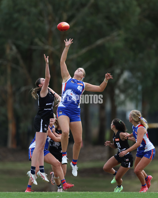Coates League Girls 2025 Round 01 - Northern Knights v Oakleigh Chargers - A-58411385