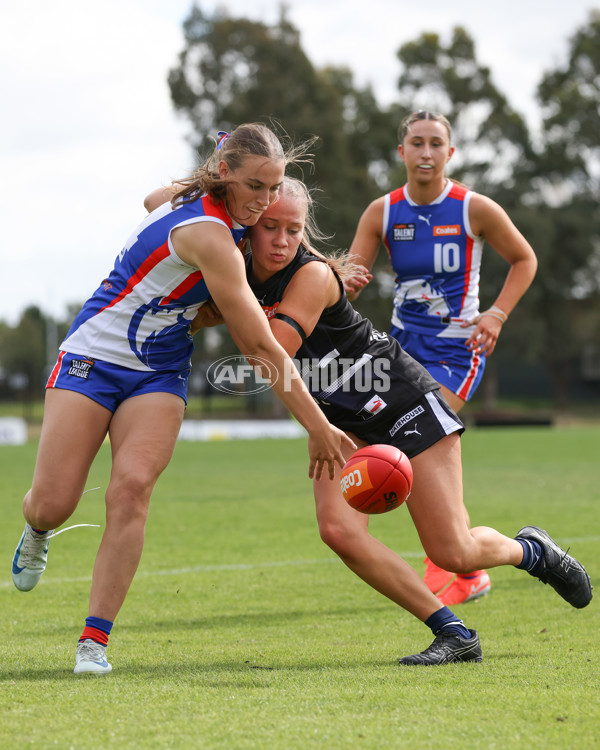 Coates League Girls 2025 Round 01 - Northern Knights v Oakleigh Chargers - A-58411398