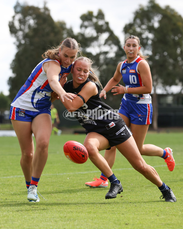 Coates League Girls 2025 Round 01 - Northern Knights v Oakleigh Chargers - A-58411400